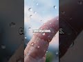 Garip Thread of Weather Memory