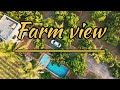 Capture the Journey with Car on road and drone in the sky along with farms ! #djimini5pro #dji #farm