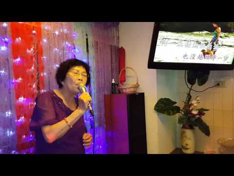 鄭鳳嬌 心碎(大响卡啦O K)