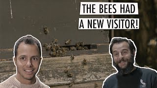 Making Furniture Polish With Bees! (featuring Will Kirk)