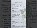 Nervous system 🧠✨💫🌟🎯 #youtubeshorts #biology #science #motivation #viral