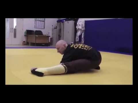 Pu Bu Stance Training - Shaolin Lotus