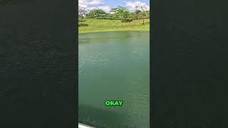 Lure Fishing: BEST Spots & Reel Action! #shorts