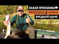 КАКАЯ ПРИМАНКА🐟ПРОВДКА 🎣 НУЖНА ЩУКЕ ☝