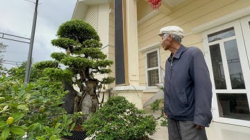 Cụ ông 80 tuổi chọn Cây cảnh làm lẽ sống | Ông Đức Nuôi Tôm