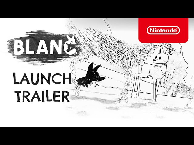 Blanc - Nintendo Switch