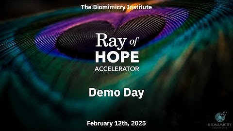 Ray of Hope Accelerator 2024 Cohort Demo Day