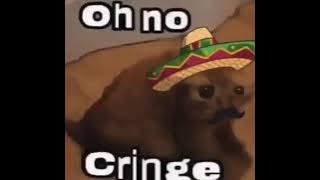 oh no cringe