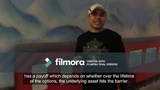 Financial Economics: Barrier Options