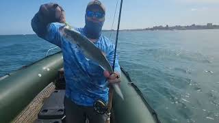 PESCA CON CUCHARITAS, MOSCAS Y GOMAS EN MAR DEL PLATA 🔥🛥🐠