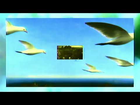 Islands — Islands - Superstitious (Official Video)