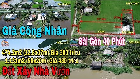 Nhà vườn Long An | Đất xây nhà vườn giá rẻ quốc lộ 62 1 xẹt 450m, Sài Gòn 40km