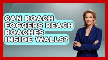 Can Roach Foggers Reach Roaches Inside Walls? - Insects and Invaders