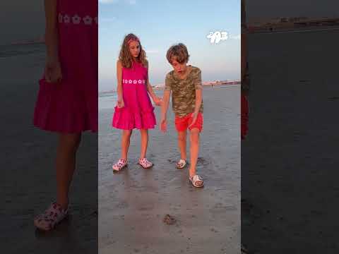 🤔 ЗАГАДОЧНЫЕ кучки на ПЛЯЖЕ! Кто ЭТО сделал?