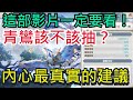 【三國志幻想大陸】青鸞完整分析｜最真實的抽取建議｜所有玩家必看｜盾姜、盾呂、法呂、衝鋒、火毒｜全字幕影片｜雞腿葛格