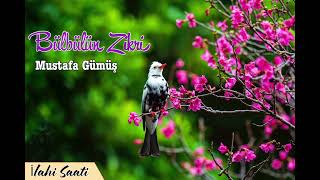 Bülbülün Zikri - Mustafa Gümüş 💖 İlahi Saati Resimi