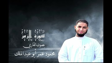 سورة الزمر بصوت القاري محمود عمر أبو عبد الملك