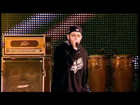 Parazitii - Trei agenti - Ursus Cluj Fest