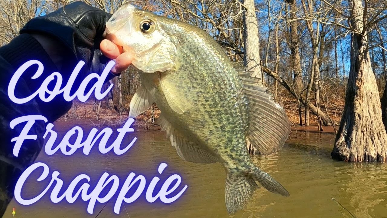 Crappie fishing just before a cold front 