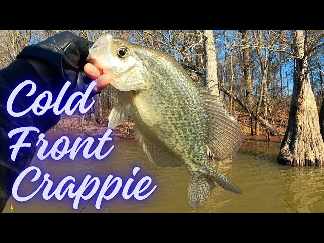 Crappie fishing just before a cold front 