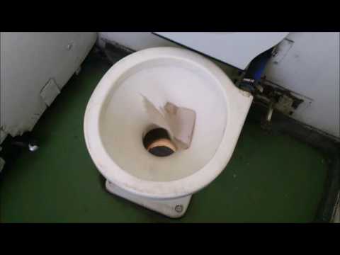 Videó: Az up and up WC-papír szeptikus biztonságos?
