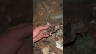 Чердачный поиск по ПМВ.( от подписчиков) #history #metaldetecting #ww1 # #history #glass #