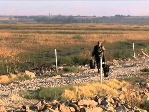 Cheyenne Bottoms Teal Opener