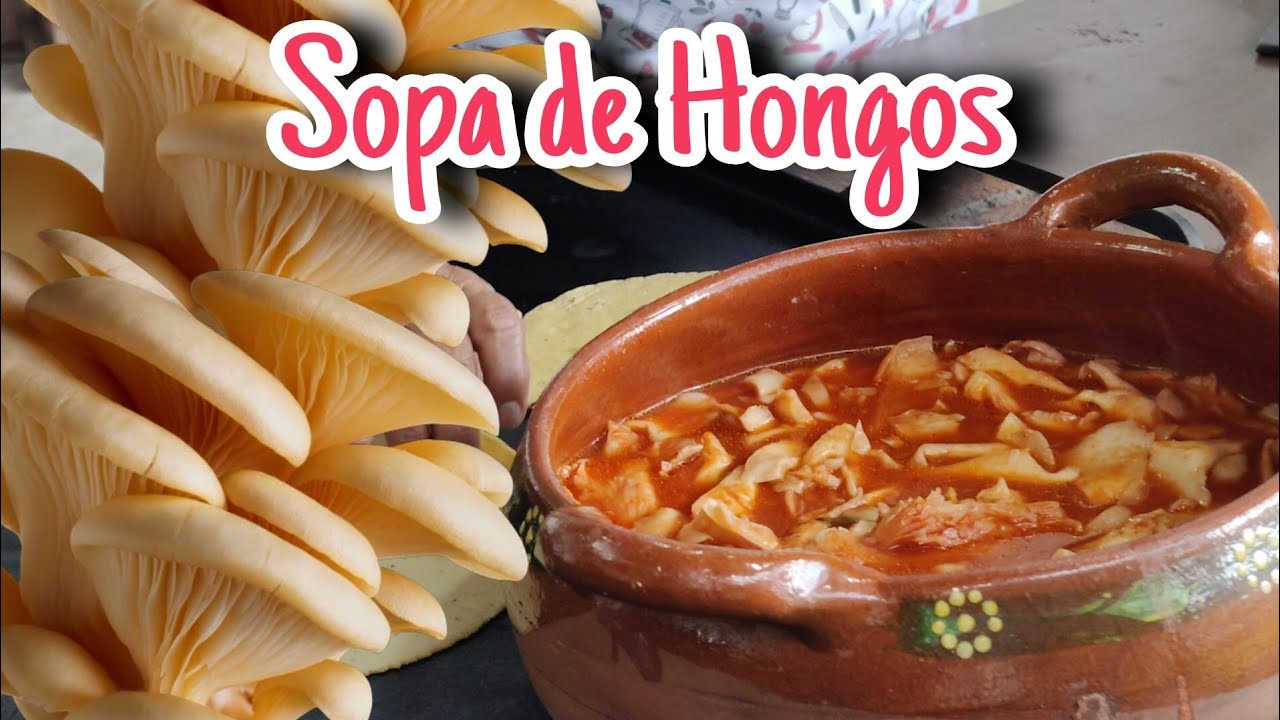 Preparando una rica Sopa de hongos zetas