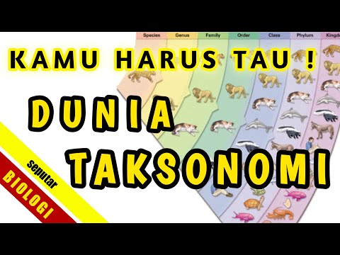 Video: Apa Itu Taksonomi?