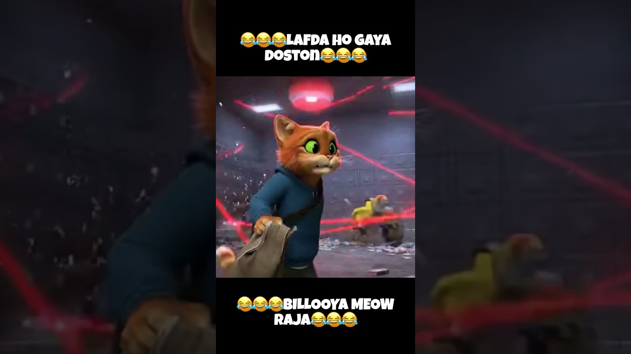 Bank mai fass gaya Meow Raja Billooya |💸🏧🏦 