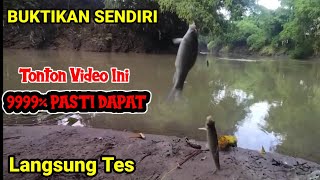 Umpan Ikan Nilem Paling Jitu Di Segala Kondisi Air