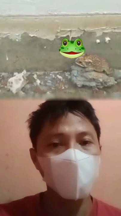 Arti kodok masuk rumah pertanda apa..? #shorts #mitos