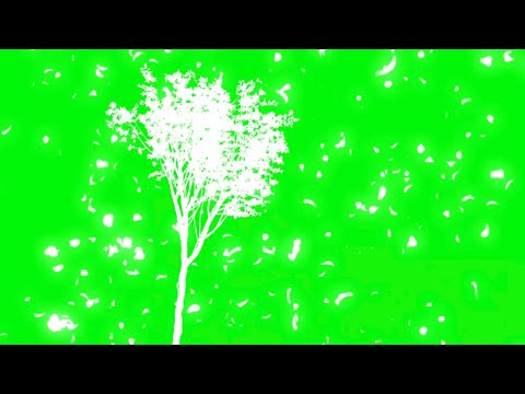 Green Screen Overbeast game video effects overlay