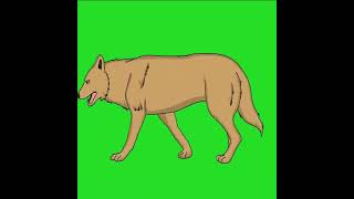 2D ANIMATION DOG WALKING GREEN SCREEN #shorts