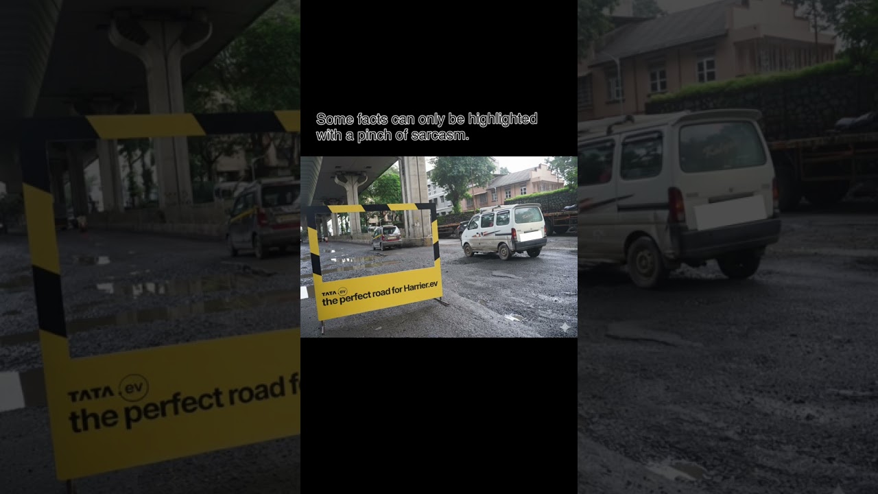 Some facts can only be highlighted with a pinch of sarcasm.