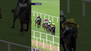 Play video: GALOPIN DES CHAMPS - what a racehorse!! #horse #horseracing #racingtv #sport #britishhorseracing