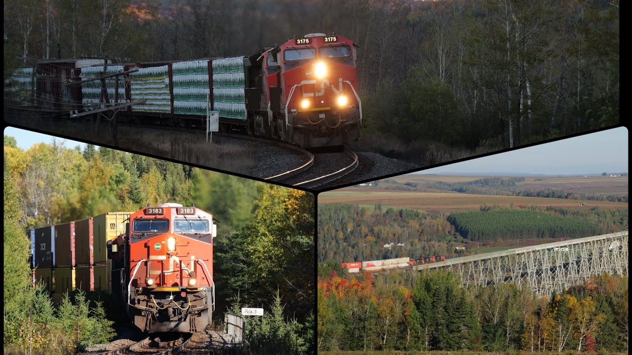 3 Train Day with CN in Western New Brunswick & Eastern Quebec 9/27/25