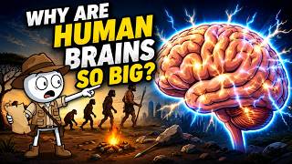 Why Is the Human Brain So Powerful? #humanevolution   #humanbrain   #Evolution #History #science