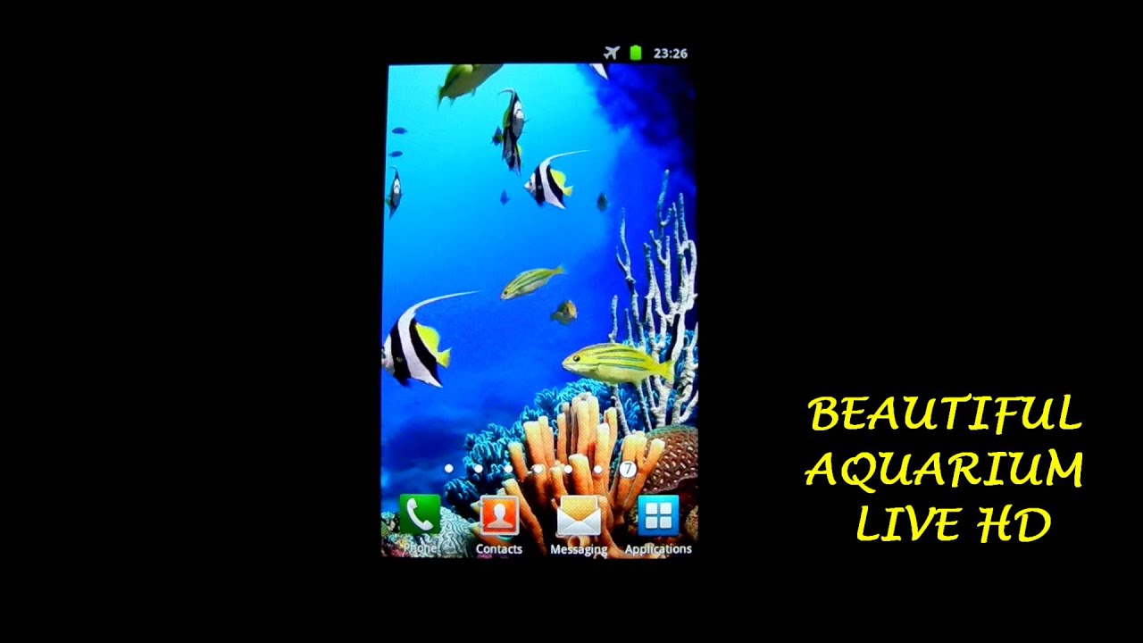 Beautiful Aquarium Live HD YouTube
