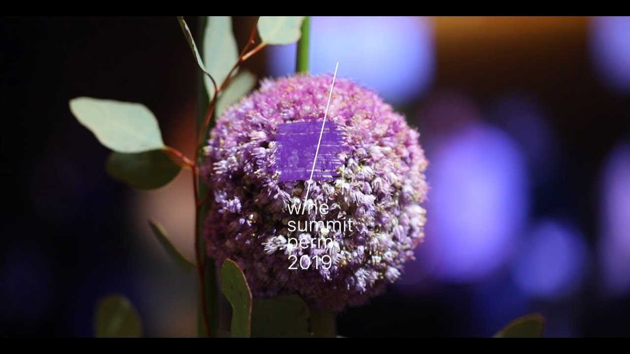 WINE SUMMIT PERM 2019