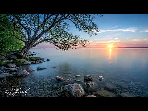 The most comfortable place 🌿 Stress relief, stop overthinking, Deep sleep, soothing music