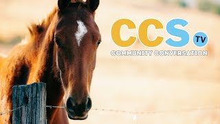 CCS-TV Community Conversation: Inside the Chautauqua County Fair Equestrian Program