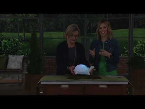 barbara-king-illuminated-sandstone-animal-sculptures-on-qvc