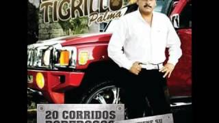 Tigrillo palma mix de exitos 2015