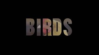 Mind Of A Chef Episode Preview | Birds