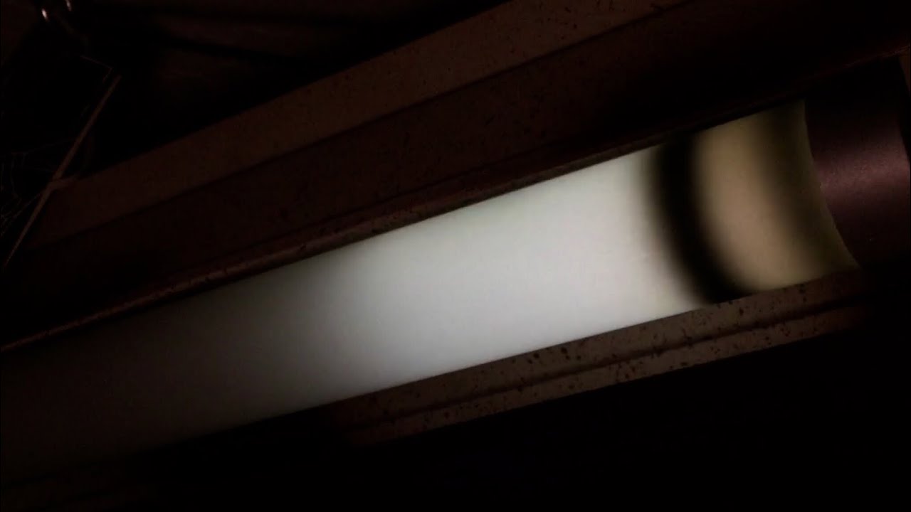LED Haunted Light | R.I.P. Reviews