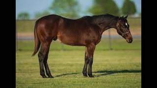 2310 - Required To Smoke