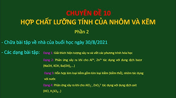 Chuyên đề 10: Hợp chất lưỡng tính của nhôm và kẽm (P2) | Ôn thi HSG Hóa học lớp 9 năm học 2021-2022