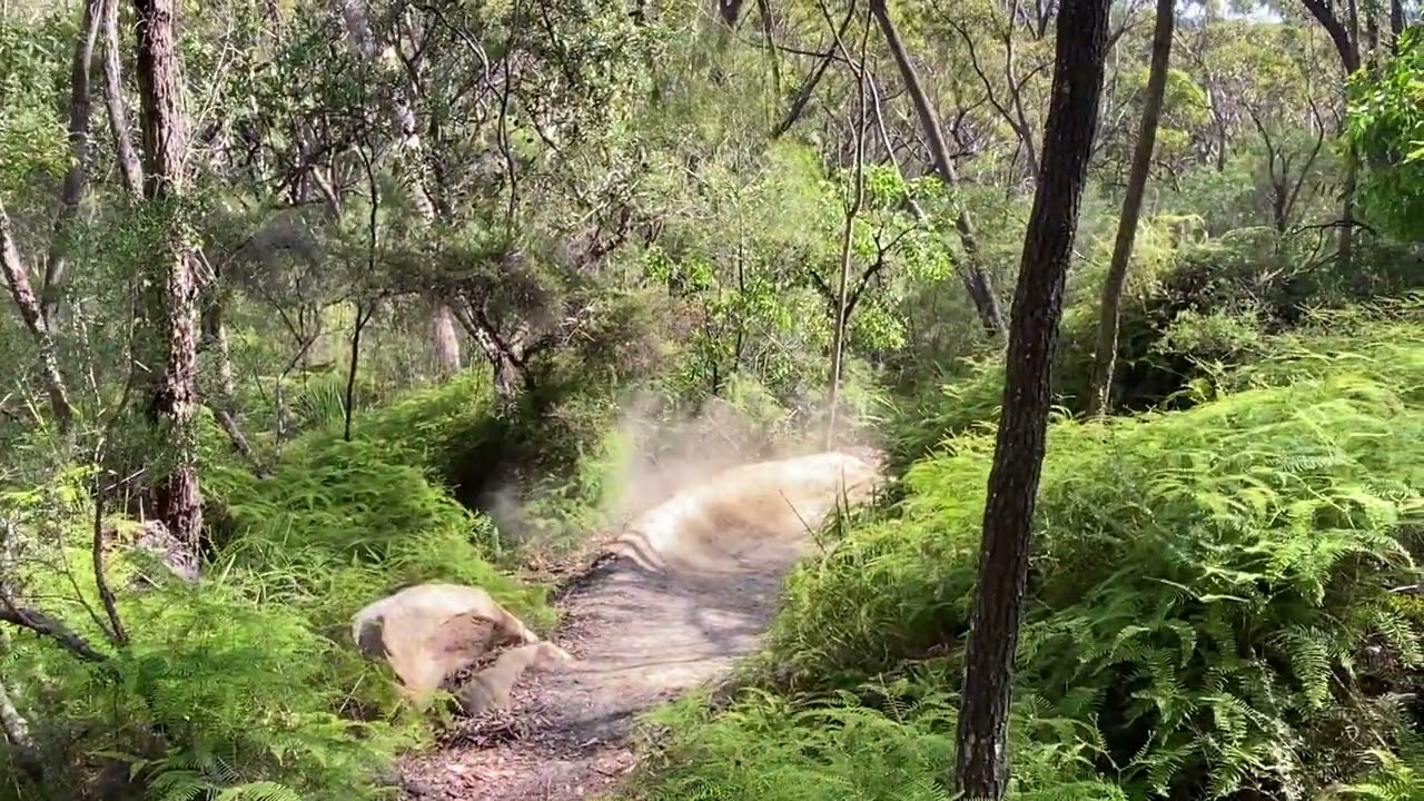 MTB Shralp Compilation