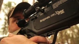 Deer and Predator Hunting With The Benjamin Rogue Air Rifle - The Management Advantage #53